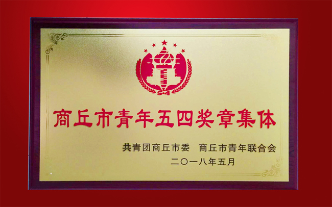 我院重症医学科受表彰1.jpg