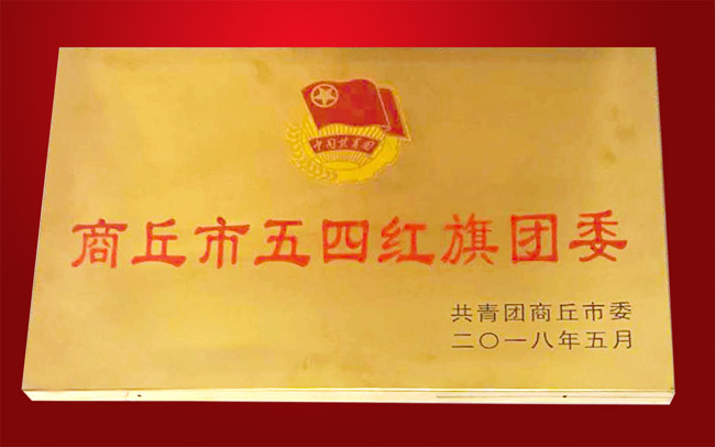 五四红旗团委.jpg